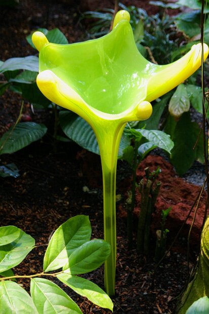 Atlanta Botanical Garden 2004-05 Chihuly in the Garden