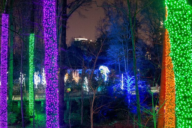 ABG 2013-12 Garden Lights