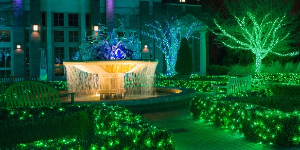 ABG 2013-12 Garden Lights