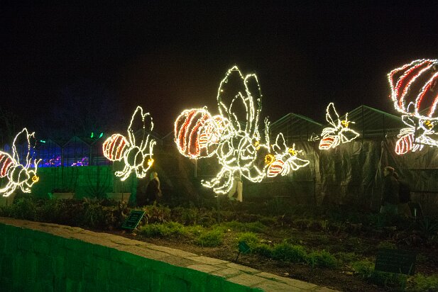 ABG 2013-12 Garden Lights