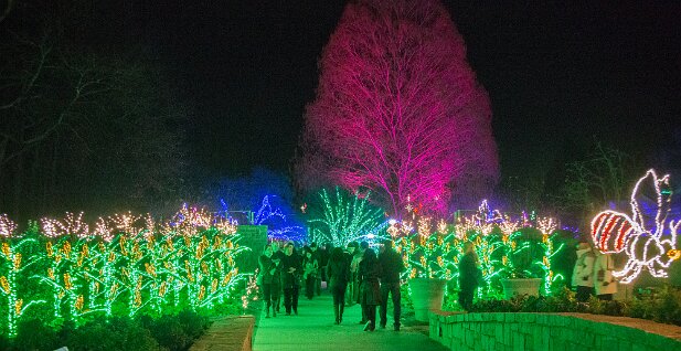 ABG 2013-12 Garden Lights