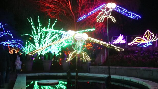 20131225-garden lights-019