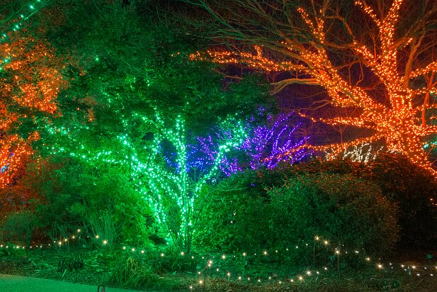 ABG 2013-12 Garden Lights