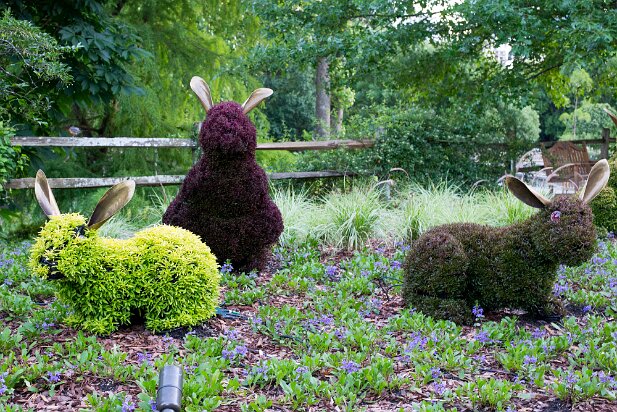 Atlanta Botanical Garden 2014-05
