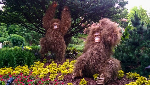 Atlanta Botanical Garden 2014-05