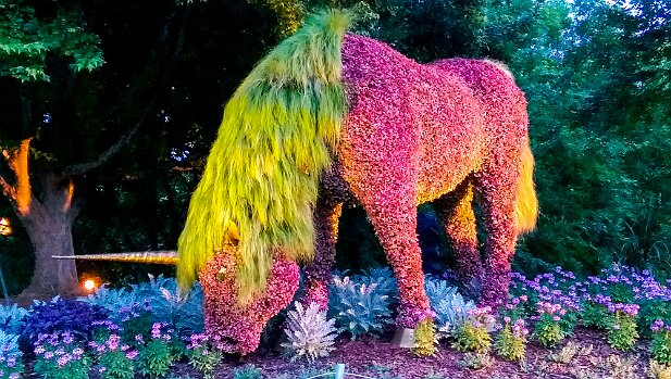 Atlanta Botanical Garden 2014-05