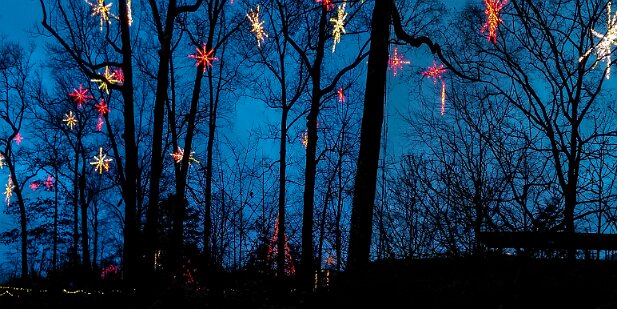 ABG 2015-12 Garden Lights