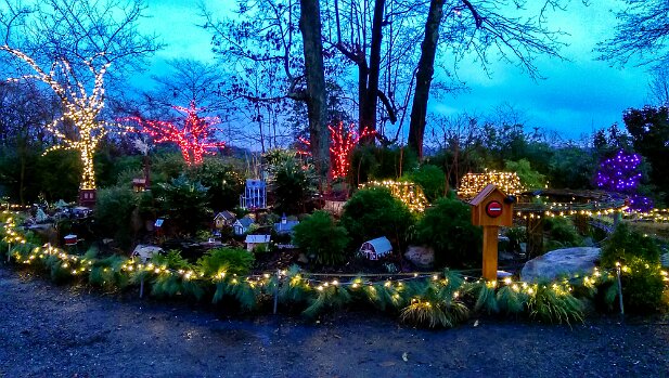 ABG 2015-12 Garden Lights