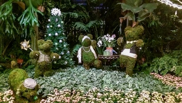 ABG 2015-12 Garden Lights