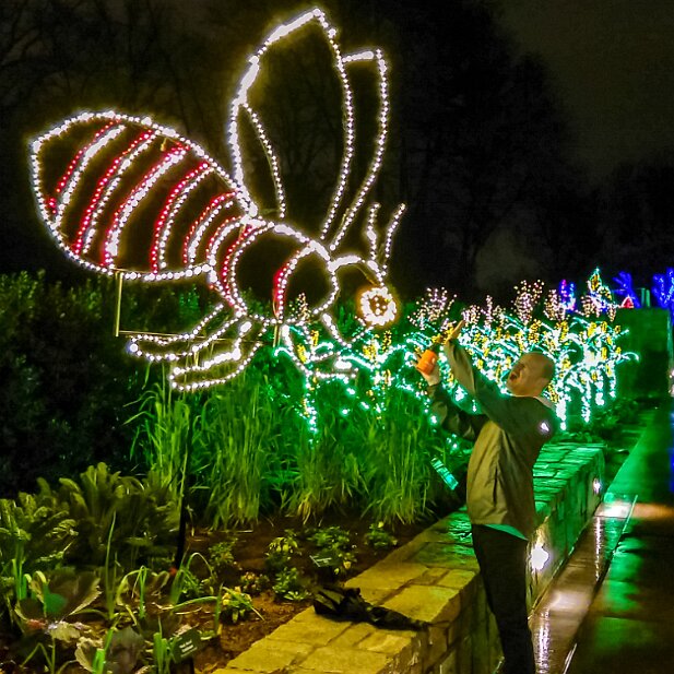 ABG 2015-12 Garden Lights