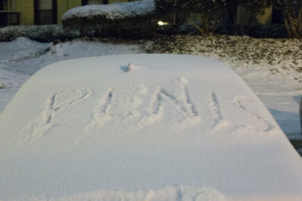 Snowsaster 2014-01