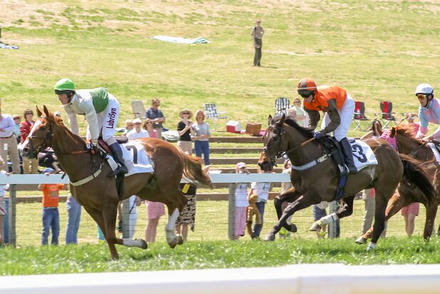 Steeplechase 2005-04