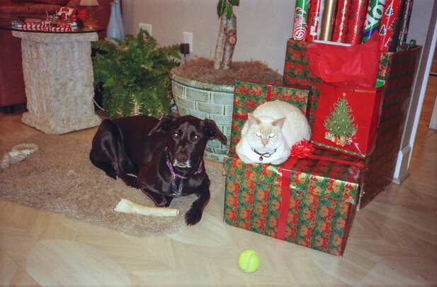 Christmas 2000
