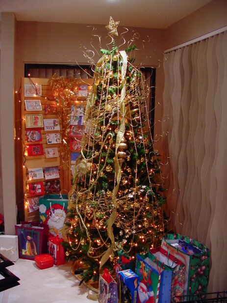 Christmas 2001