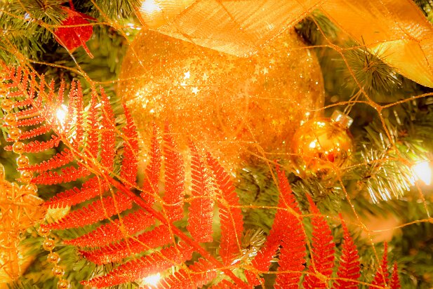 Christmas 2007-12