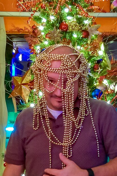 Christmas 2015-12 My christmas ornament impression