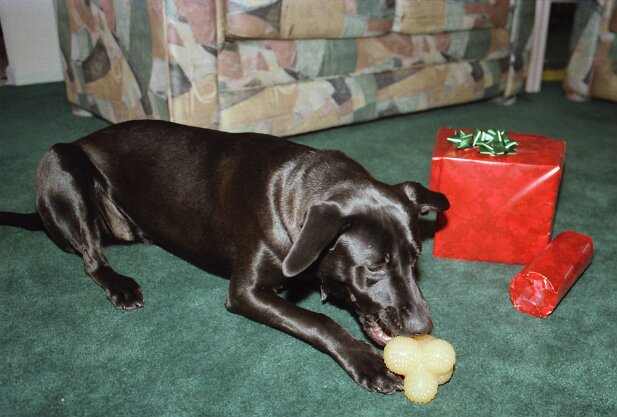 Christmas