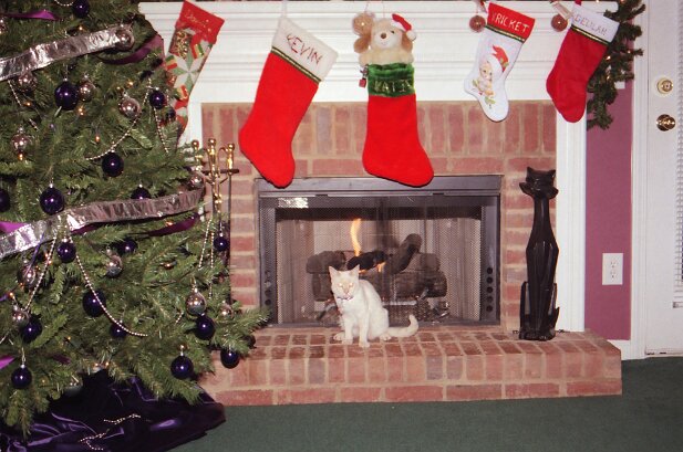 Christmas