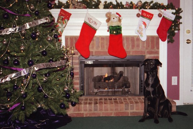 Christmas