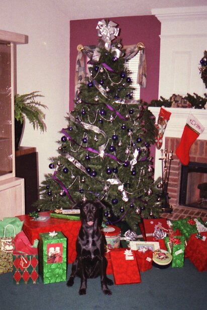 Christmas