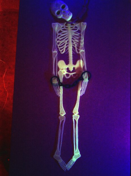 Halloween, 2000