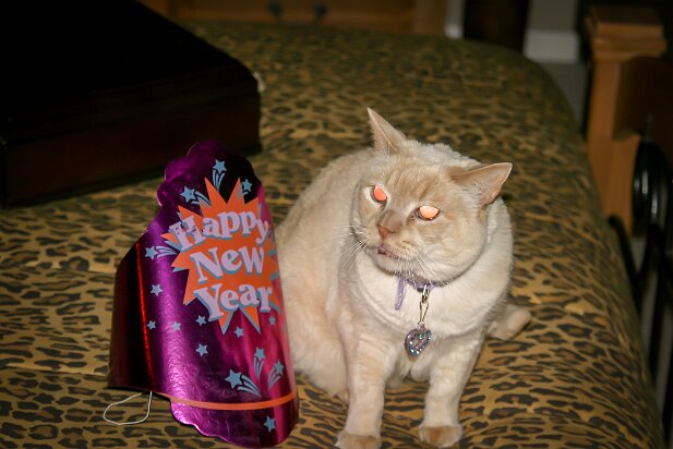 NYE 2006