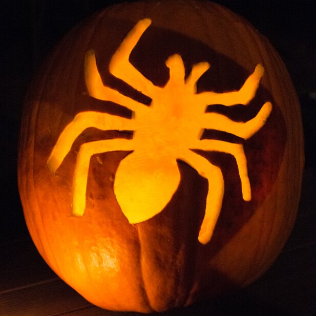 Pumpkins 2014-10 David's pumpkin