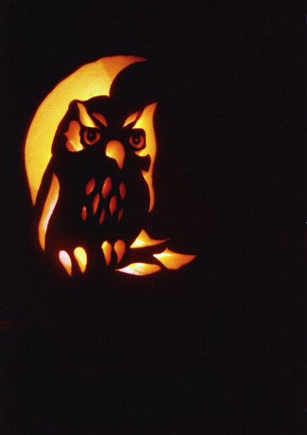 Pumpkin carvings