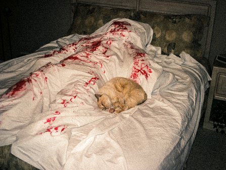 Halloween 2004-10