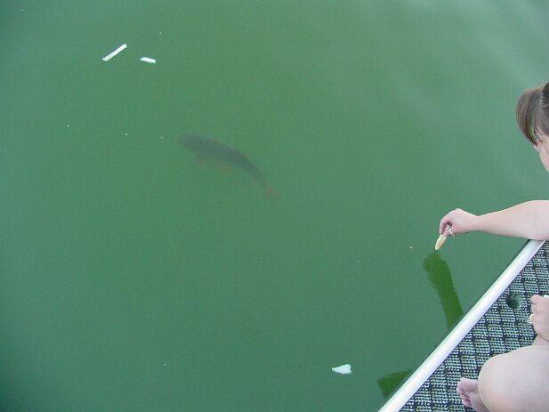Lake Lanier, 2002