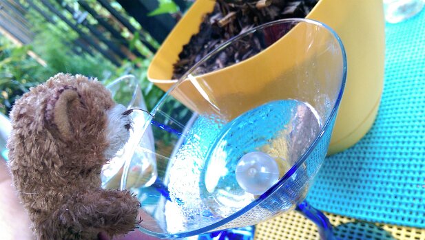 Truffles Bear Adventures Truffles Bear drinks martini
