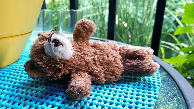 Truffles Bear Adventures Truffles Bear passes out