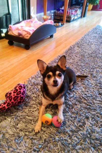 20150215-truffles-001