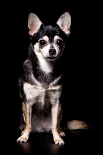 20150228-truffles-001