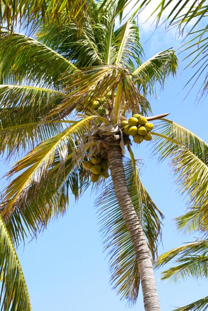 Aruba