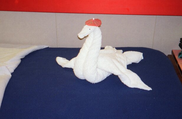 Cruise, Fantasy, February 2001