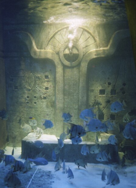 Cruise, Fantasy, February 2001